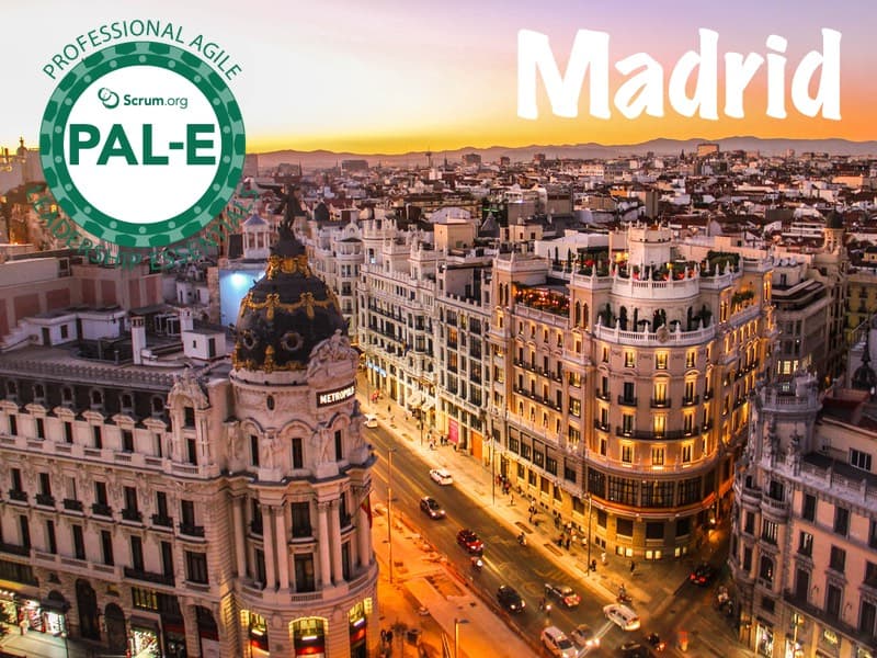 Curso PAL-E Madrid