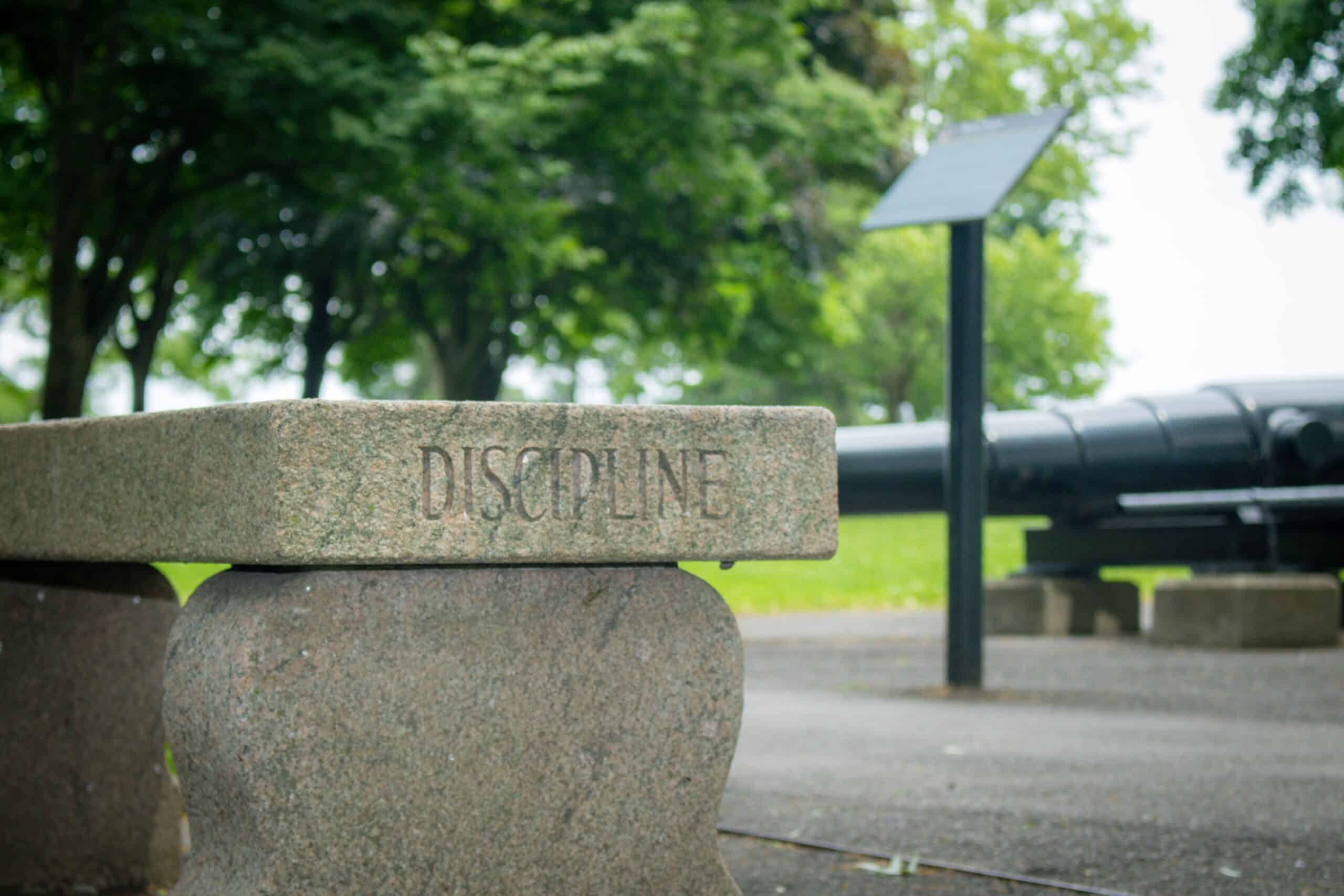 decorative image of discipline